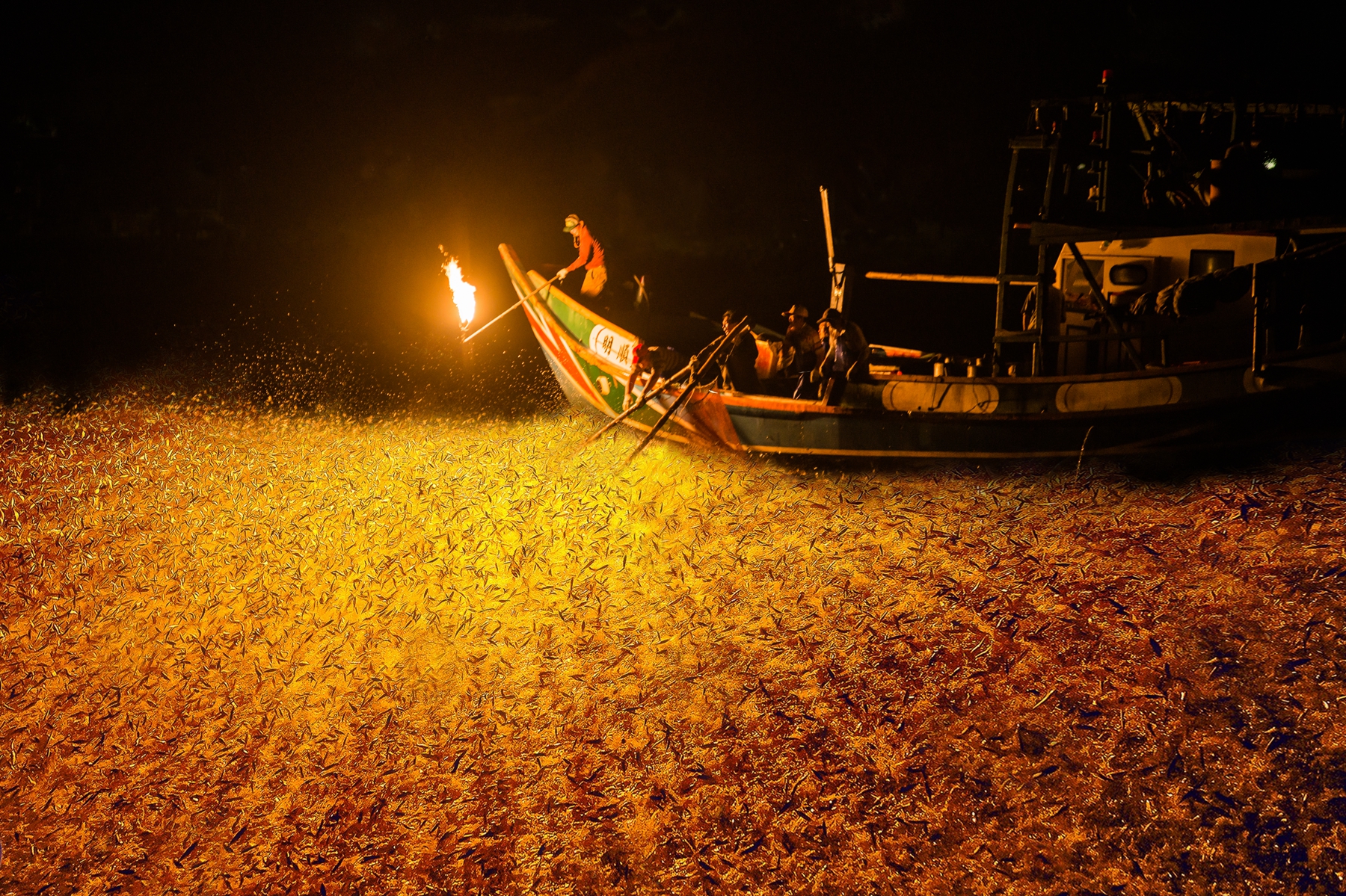 佳作獎-古老魚法 蹦火仔-吳錫坤